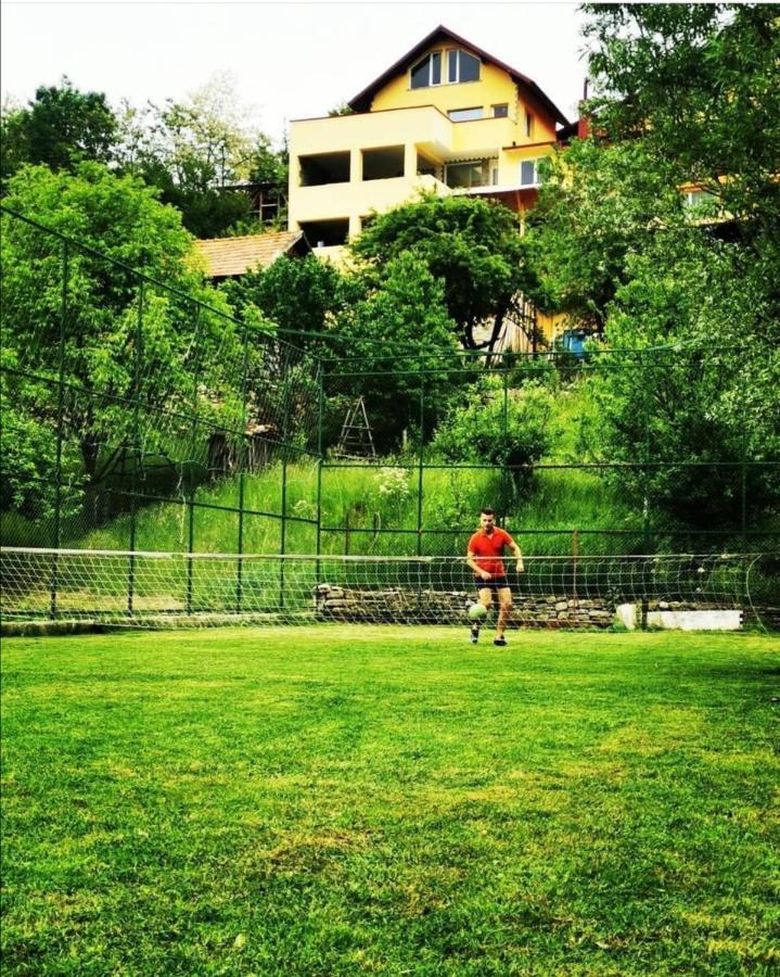 Doftana Apartaments Teşila Kültér fotó