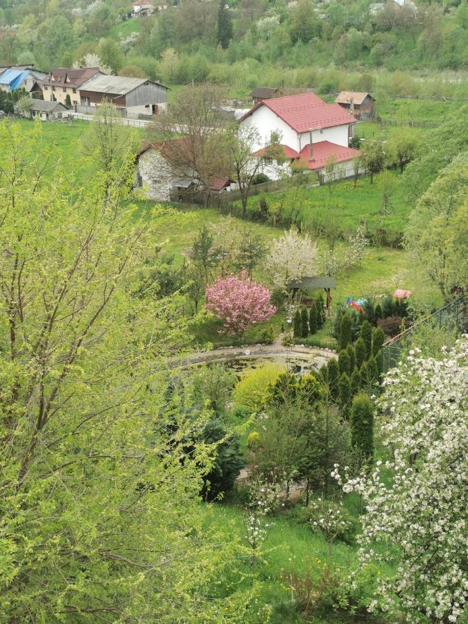 Doftana Apartaments Teşila Kültér fotó