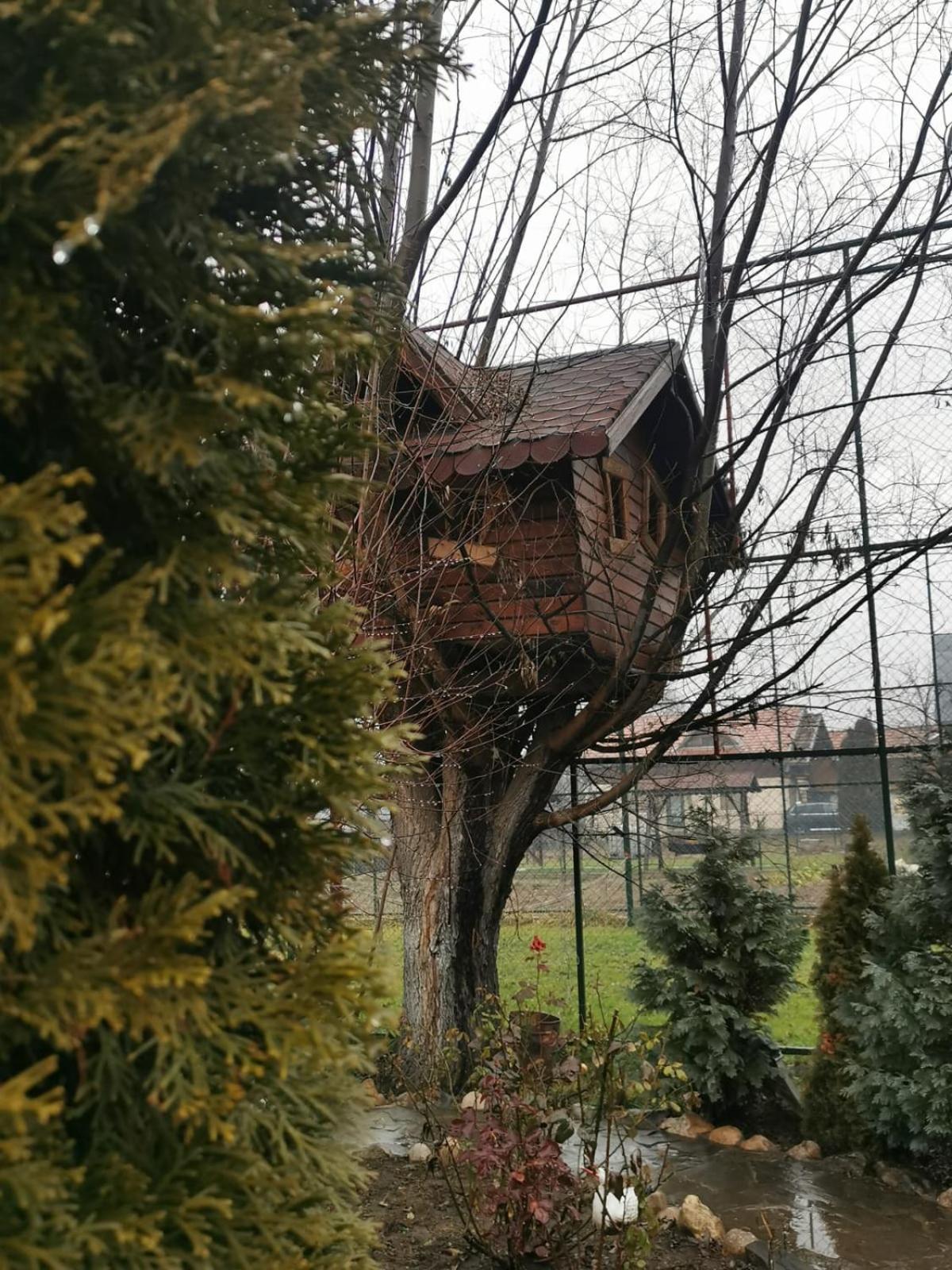 Doftana Apartaments Teşila Szoba fotó