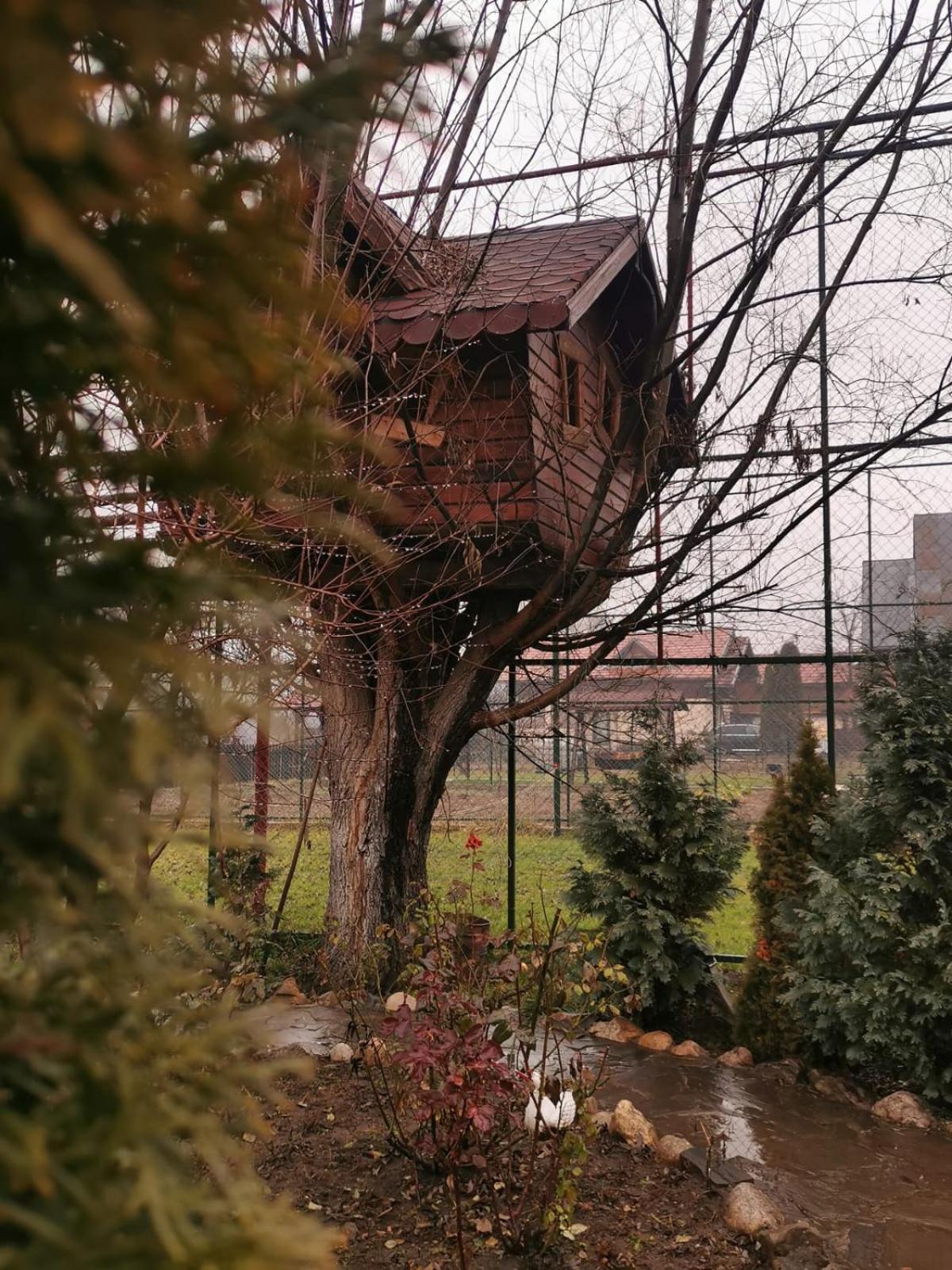 Doftana Apartaments Teşila Szoba fotó